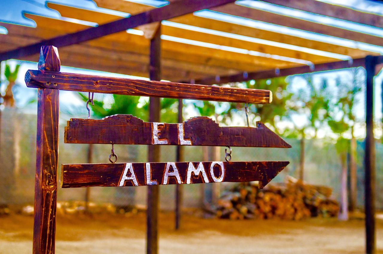 Hotel El Alamo Valle de Guadalupe Exteriér fotografie